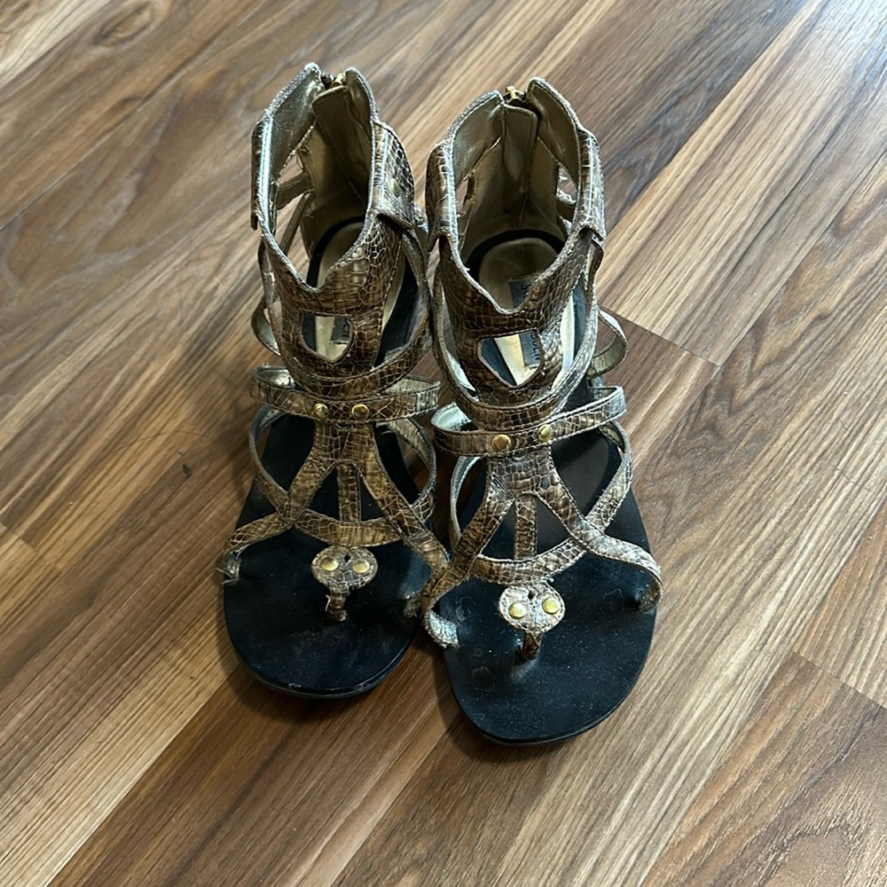 Steve Madden gladiator sandals